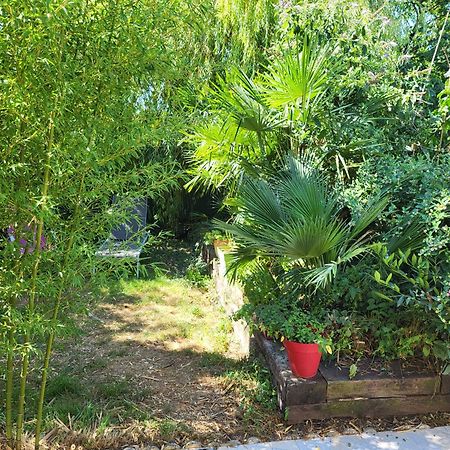 Gite Venitia T2 Aussonne Екстер'єр фото
